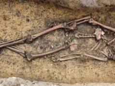 El cementerio vikingo en Dinamarca con esqueletos excepcionalmente conservados
