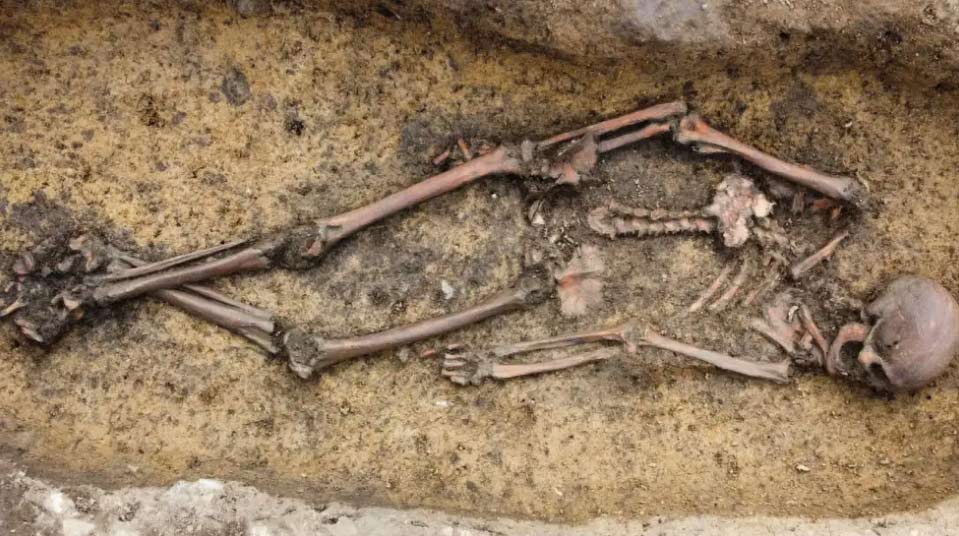 Esqueletos vikingos conservados en cementerio Aasum, Dinamarca