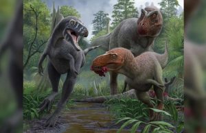 Nanotyrannus: el pequeño dinosaurio que podría ser una especie distinta y más temible que el T. rex