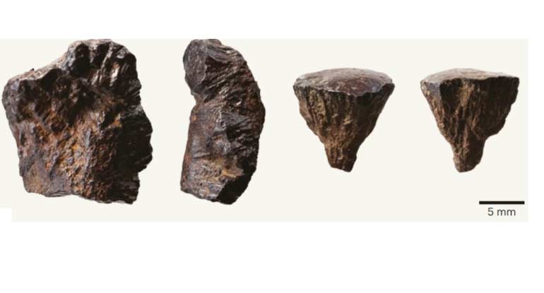 pirita fuego neandertales