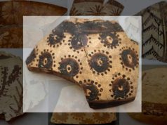 El origen de las matemáticas: unas flores diseñadas hace 8.000 años